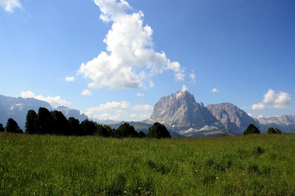 Hotel La Pineta Selva di Val Gardena Exterior foto